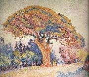 Paul Signac Pine oil on canvas